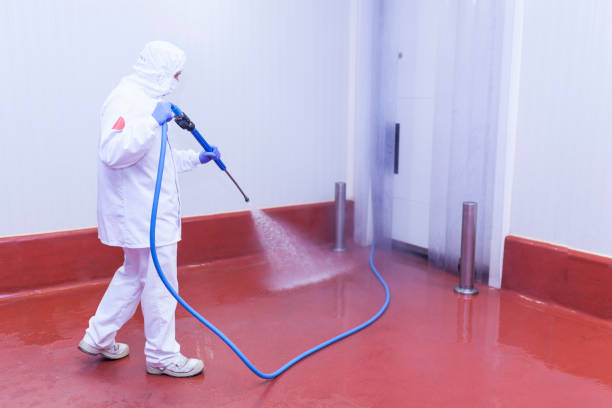Best Restaurant Pressure Washing  in St Augustine Shores, FL